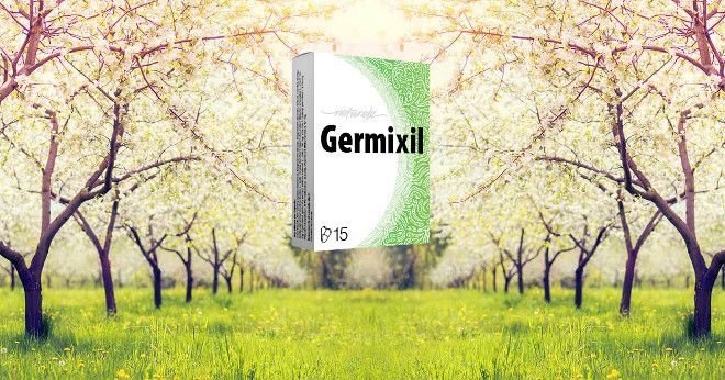 Germixil Price 