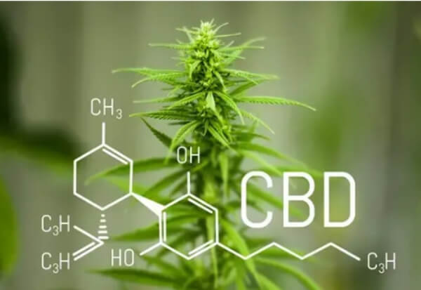 Ingredients, cbd oil